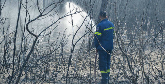 Φωτιά ΤΩΡΑ: Πυρκαγιά σε αγροτοδασική έκταση στην Ηλεία