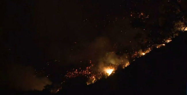 Ολονύχτια μάχη με τις φλόγες στην Εύβοια