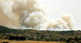 Φωτιά ΤΩΡΑ: Πύρινη κόλαση στην Τανάγρα - Ενισχύονται οι πυροσβεστικές δυνάμεις