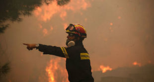 Ελαφόνησος: Εκτιμήσεις ότι κάηκε το 25% του νησιού από τη φωτιά