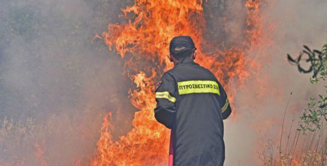 Φωτιά: Βάρδα Ηλείας – Μεγάλη κινητοποίηση της Πυροσβεστικής