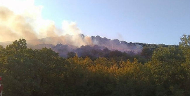 ΕΚΤΑΚΤΗ ΕΠΙΚΑΙΡΟΤΗΤΑ: Φωτιά ΤΩΡΑ στην Αλεξανδρούπολη