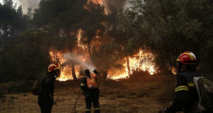 Κίνδυνος πυρκαγιάς: Σε ποιες περιοχές χρειάζεται προσοχή