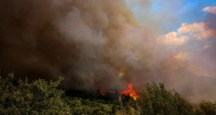 Μεγάλη φωτιά στη Φωκίδα: Επί ποδός οι Αρχές - Εν αναμονή εντολής για εκκένωση
