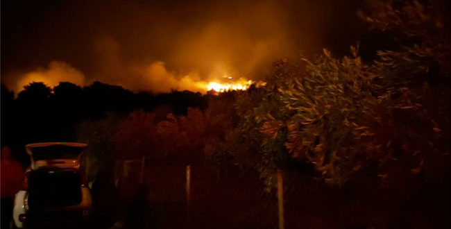 Μαίνεται η μεγάλη φωτιά στη Νέα Μάκρη - Μάχη με τις φλόγες δίνουν τα εναέρια μέσα