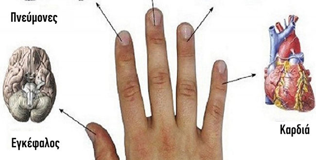 Κάθε δάχτυλο μας συνδέεται με 2 όργανα: Ιαπωνικές Μέθοδοι για θεραπεία σε 5 λεπτά