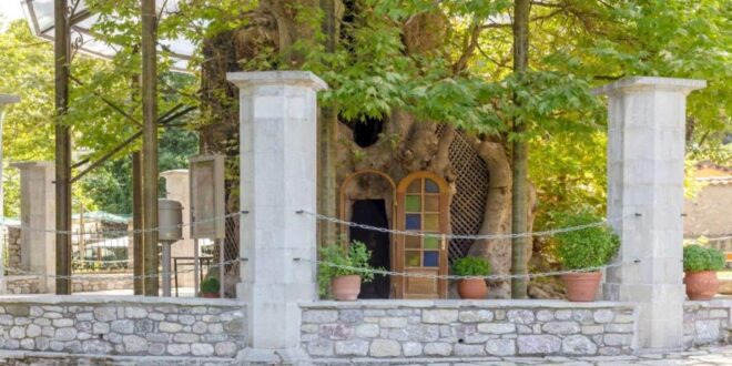 Εκκλησάκι της Παναγίας της Πλατανιώτισσας: Χτισμένο μέσα σε πλάτανο 1000 ετών!